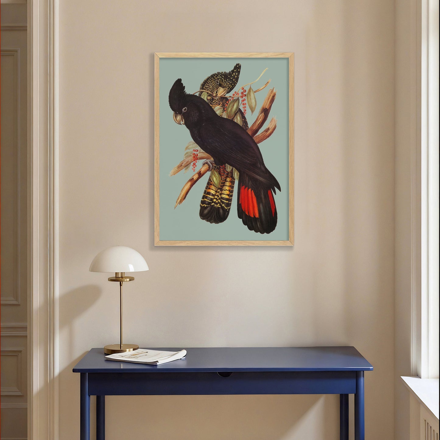 Red Tailed Black Cockatoo