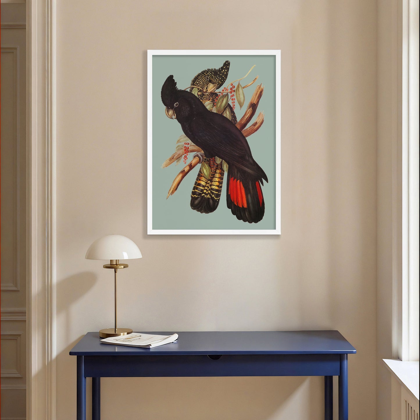 Red Tailed Black Cockatoo