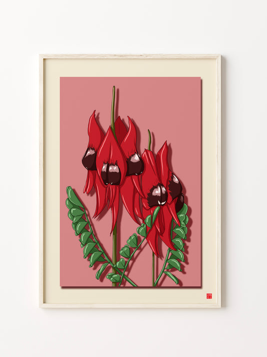 Sturt Desert Pea