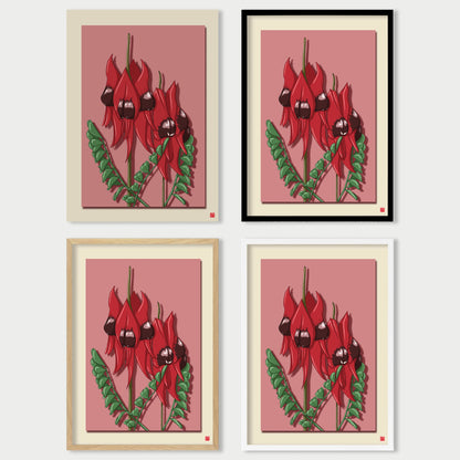 Sturt Desert Pea