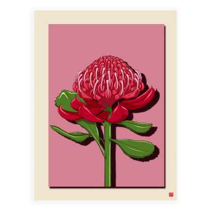 Waratah