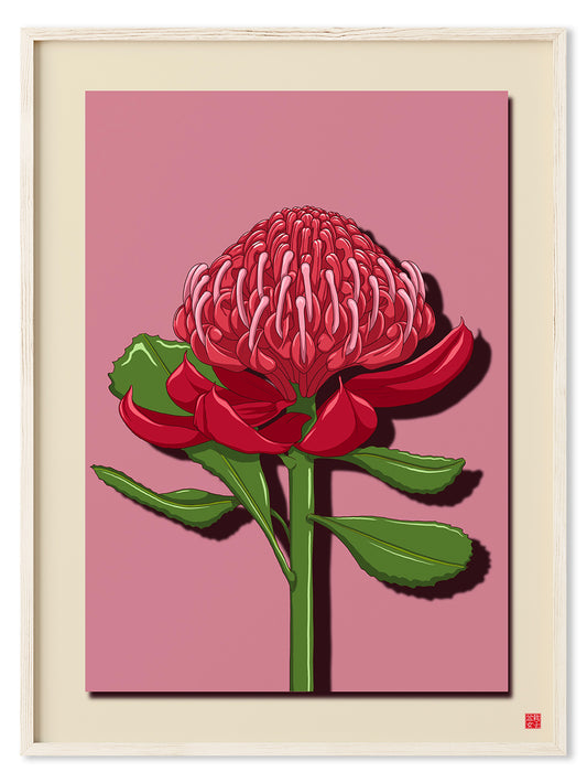 Waratah