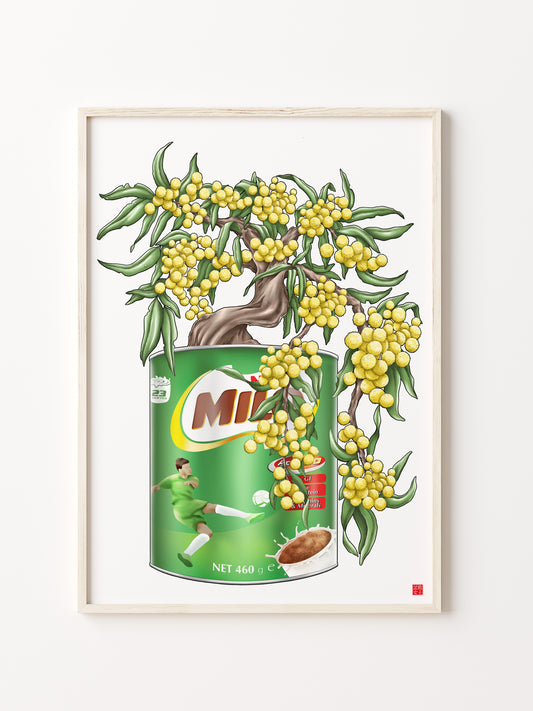 Golden Wattle Milo Tin