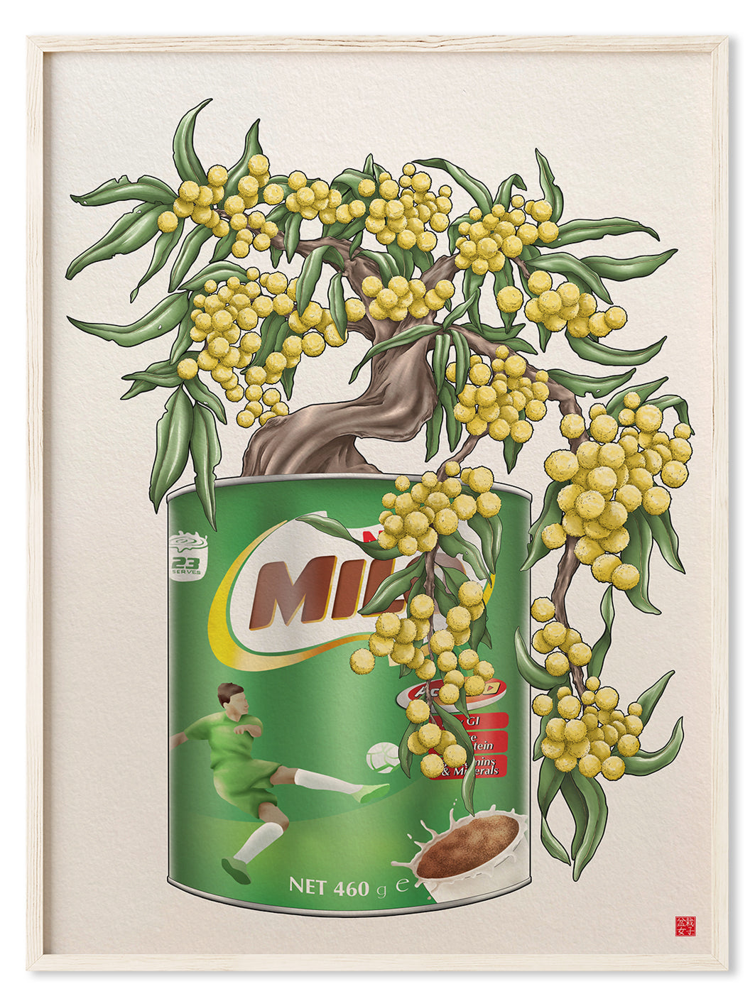 Golden Wattle Milo Tin